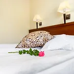 Hotel Zielony Hotel Poznań